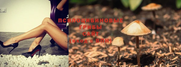 дживик Дмитров