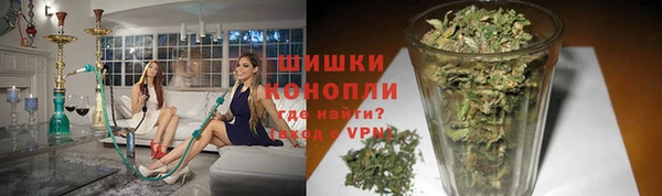 spice Дмитровск