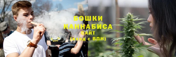 a pvp Дмитриев