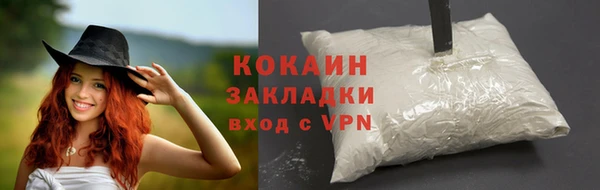 дживик Дмитров