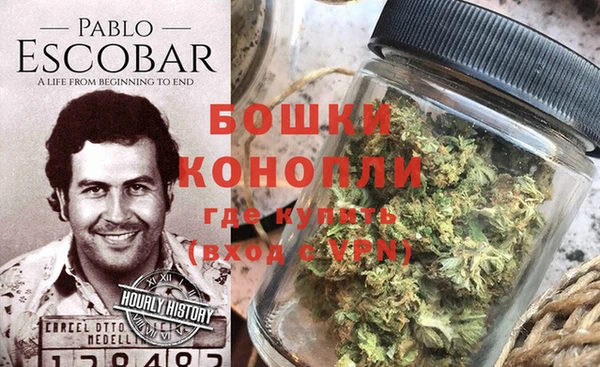дживик Дмитров