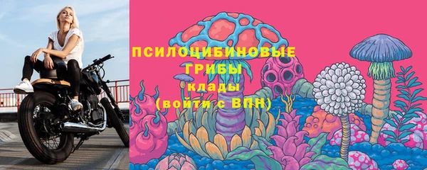 spice Дмитровск