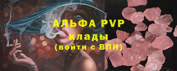 spice Дмитровск